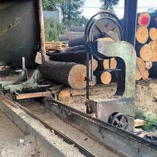 aseguran-aserraderos-ilegales-121222.jpg