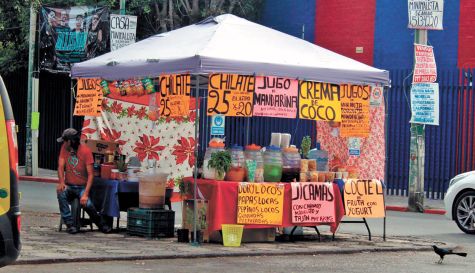 comercio-informal-Lomas-de-Cortés-Cuernavaca-141222.jpg