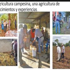 agricultura.jpg