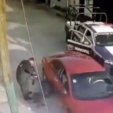 brutalidad policiaca ok.jpg