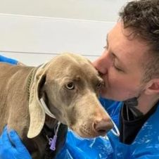 Diseño sin título (13).jpg