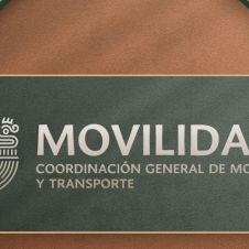 movilidad falso.jpg