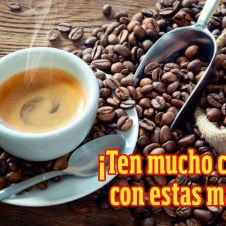 WhatsApp Image 2023-03-20 at 2.07.02 PM.jpeg