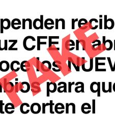 FALSO cfe.jpg