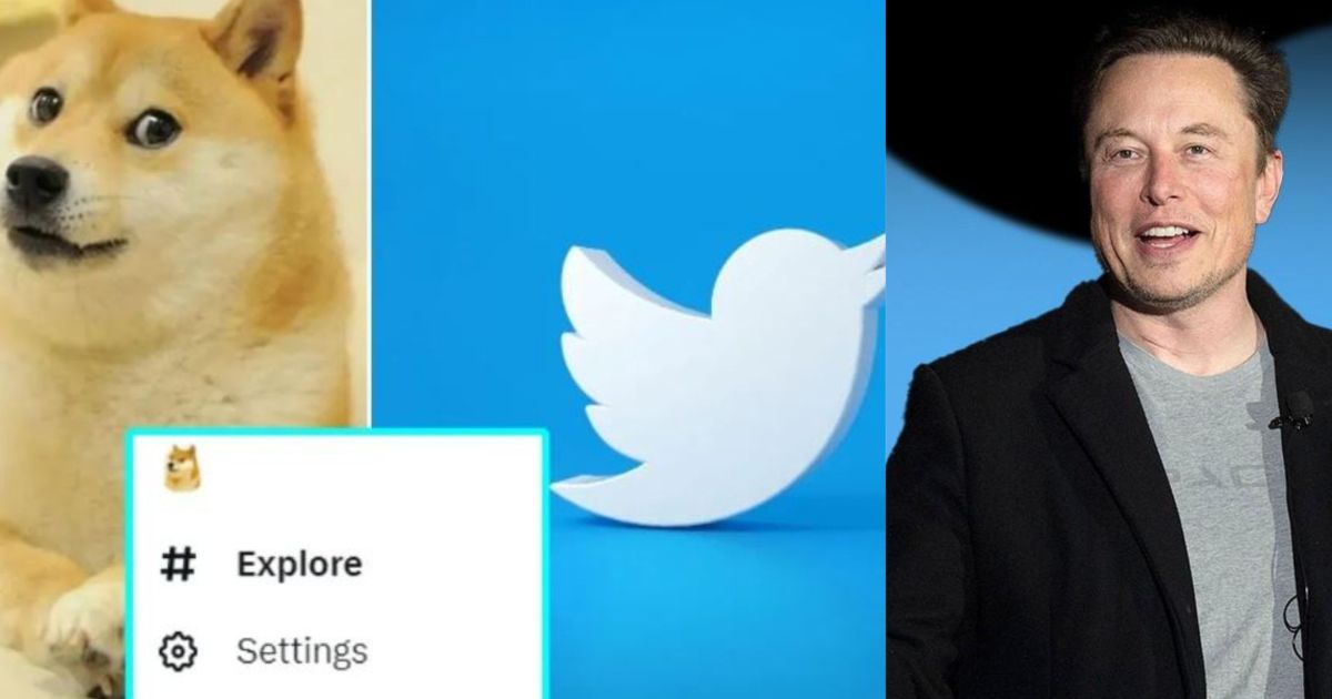 ¿Por qué aparece el logo de Chems en lugar del de Twitter? Aquí te decimos