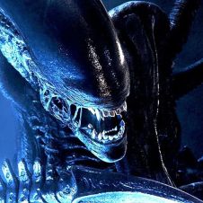 alien (1).jpg