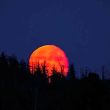 Luna-de-sangre.jpg