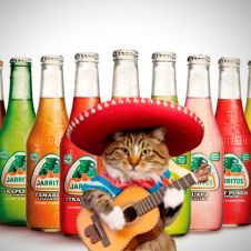 jarritos-korea.jpg