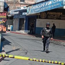 americanista, zapata