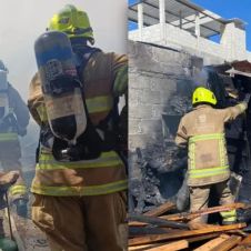 Tragedia en Chiapas: incendio acaba con la vida de 24 perros por intoxicación 