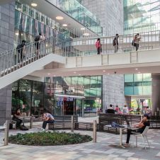 Tec de Monterrey, disciplinas, ranking