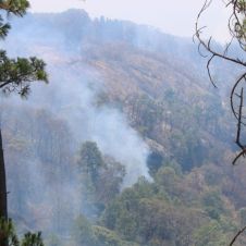 incendios morelos.jpg