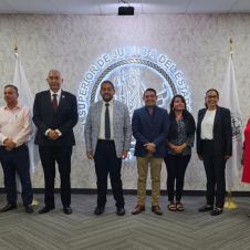 Magistrado, Gamboa, Olea, TSJ