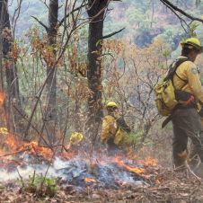 incendio Tlayacapan.jpg incendio Tlayacapan.jpg