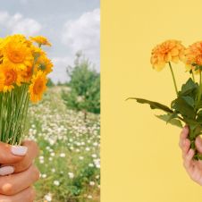 flores amarillas.jpg