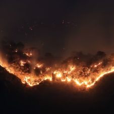Tepoztlán, incendio, provocado