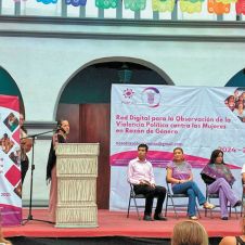 mujeres, proyecto, violencia política