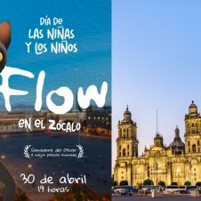 Flow se proyectará el 30 de abril a las 19:00 en el zócalo de la CDMX
