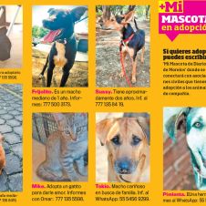 MASCOTA-1.jpg