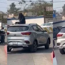 mujer, toldo, camioneta