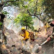 Morelos, combatientes forestales