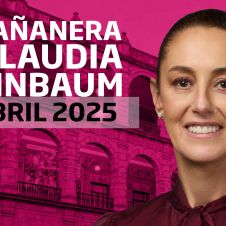 Sheinbaum frente a fondo rosa 