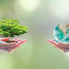 Cuidado del planeta.jpg