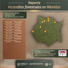 Morelos.jpg