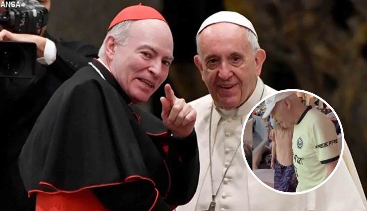 3238_cardenal.jpg