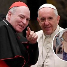 3238_cardenal.jpg