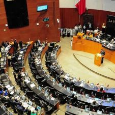 Senado Aprueba hasta 18 años de Cárcel por Divulgación de Imágenes de Mujeres Víctimas de Violencia