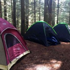 campamento-militarizado.jpg
