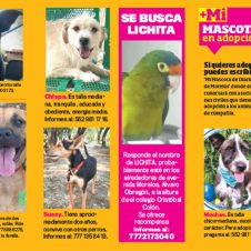 mi-mascota.jpg