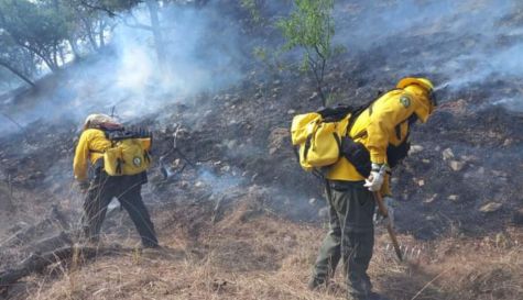 incendios ok.jpg