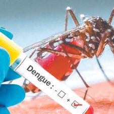 dengue ok.jpg