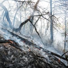 incendios, Morelos