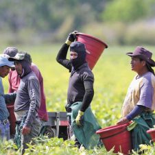Pension migrantes.jpg