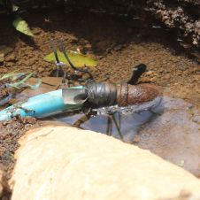 fuga agua cuernavaca.jpg