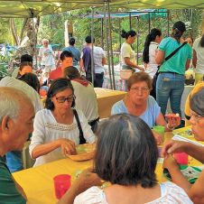 Mercadito Verde 