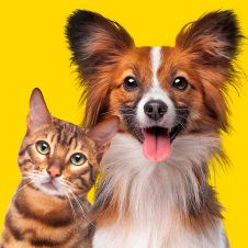La ciencia lo confirma: tener una mascota mejora tu salud mental