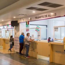 placas virtuales.jpg