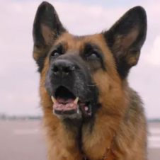 Palma.jpg
