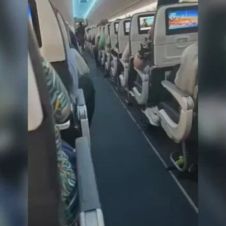 pelea multilingüe.jpg