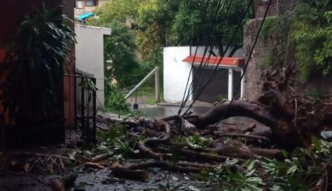 daños lluvias ok.jpg