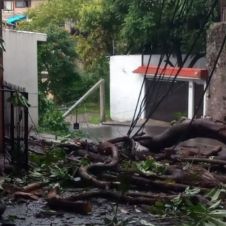 daños lluvias ok.jpg