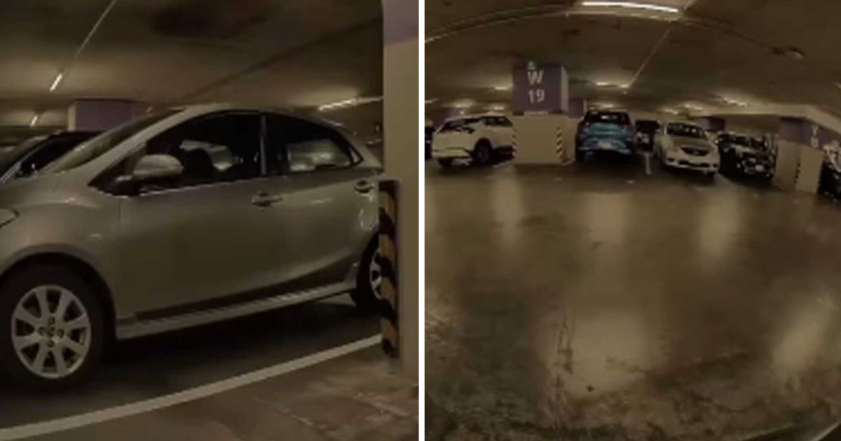 Cámaras de un Tesla revelan el modus operandi de ladrones en ...