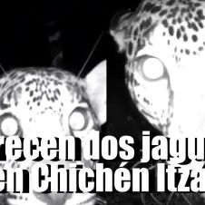INAH INAH