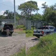 cuepro-sin-vida.jpg