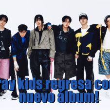 Stray Kids Karma