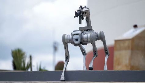 perro robot zacatecas